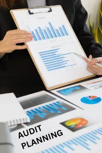 Audit Planning