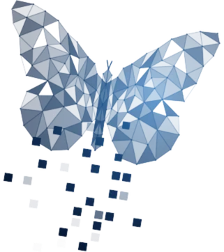 Sage Titans Web Analytics Expertise