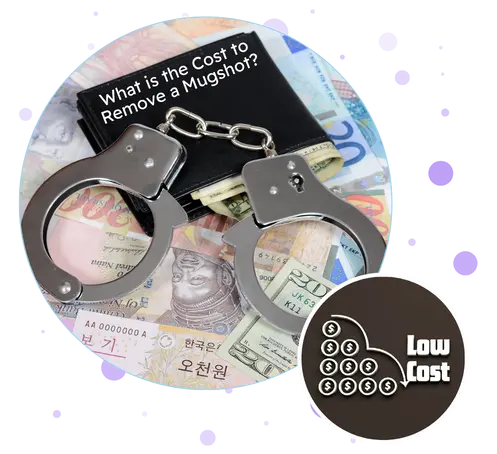 Cost to remove a mugshot